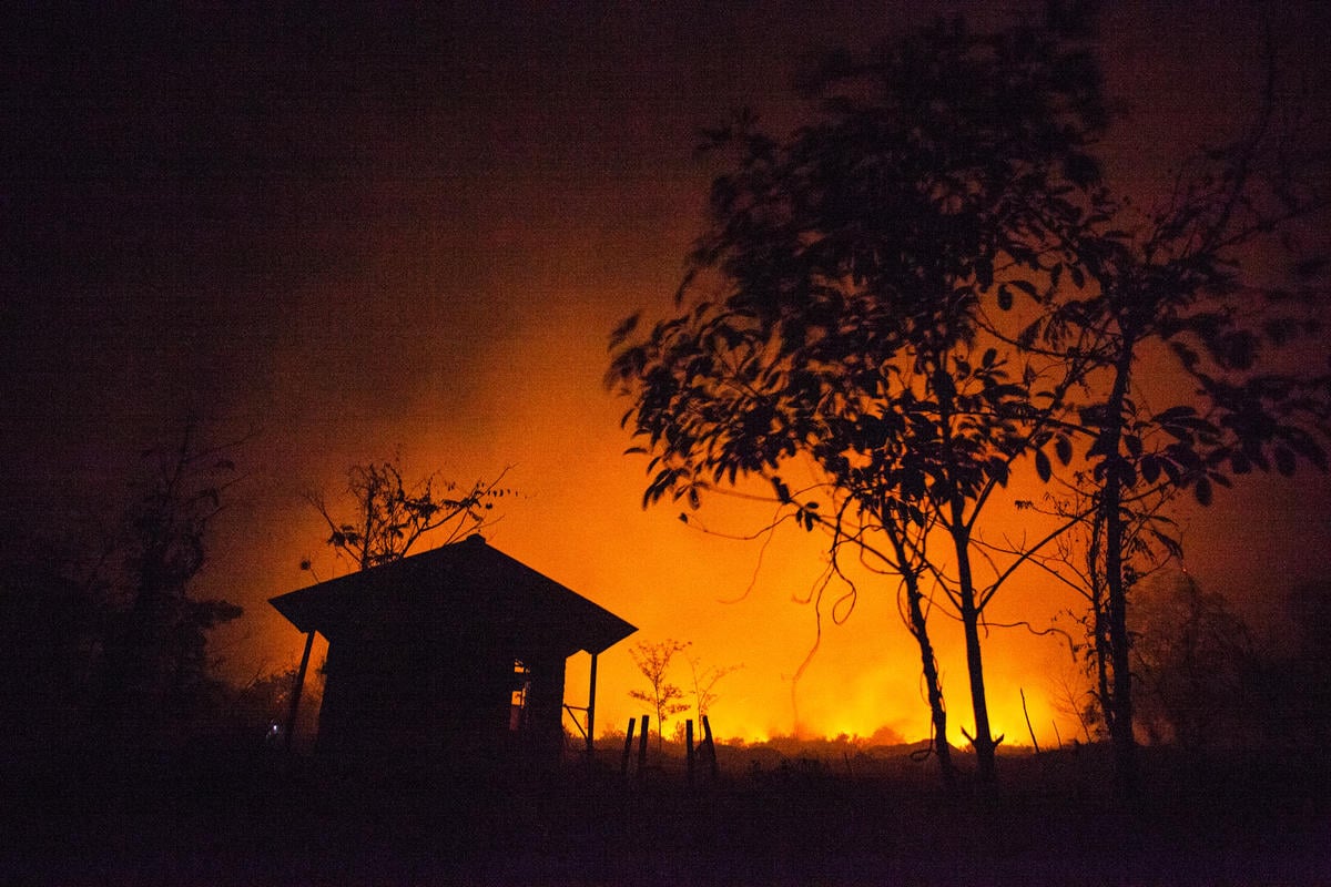 Forest Fires in Central Kalimantan. © Jurnasyanto Sukarno / Greenpeace