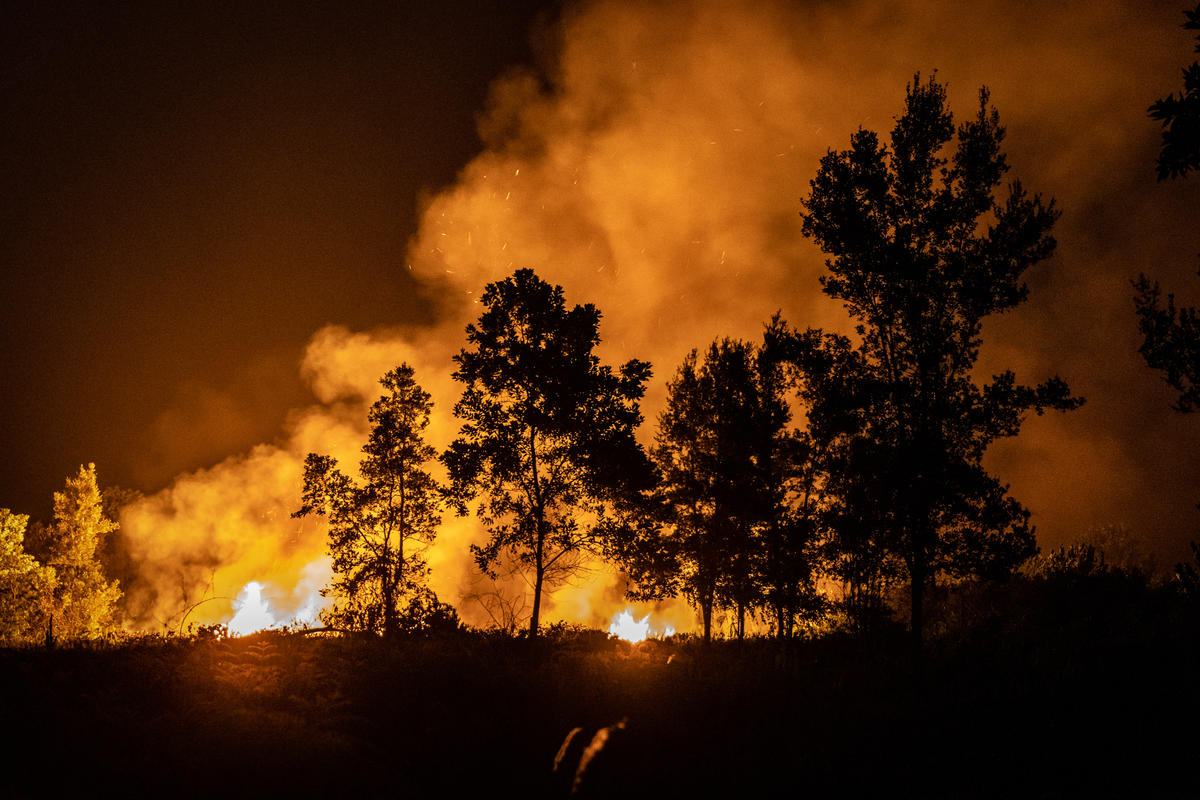 Forest Fires in Jekan Raya, Central Kalimantan. © Ulet  Ifansasti / Greenpeace