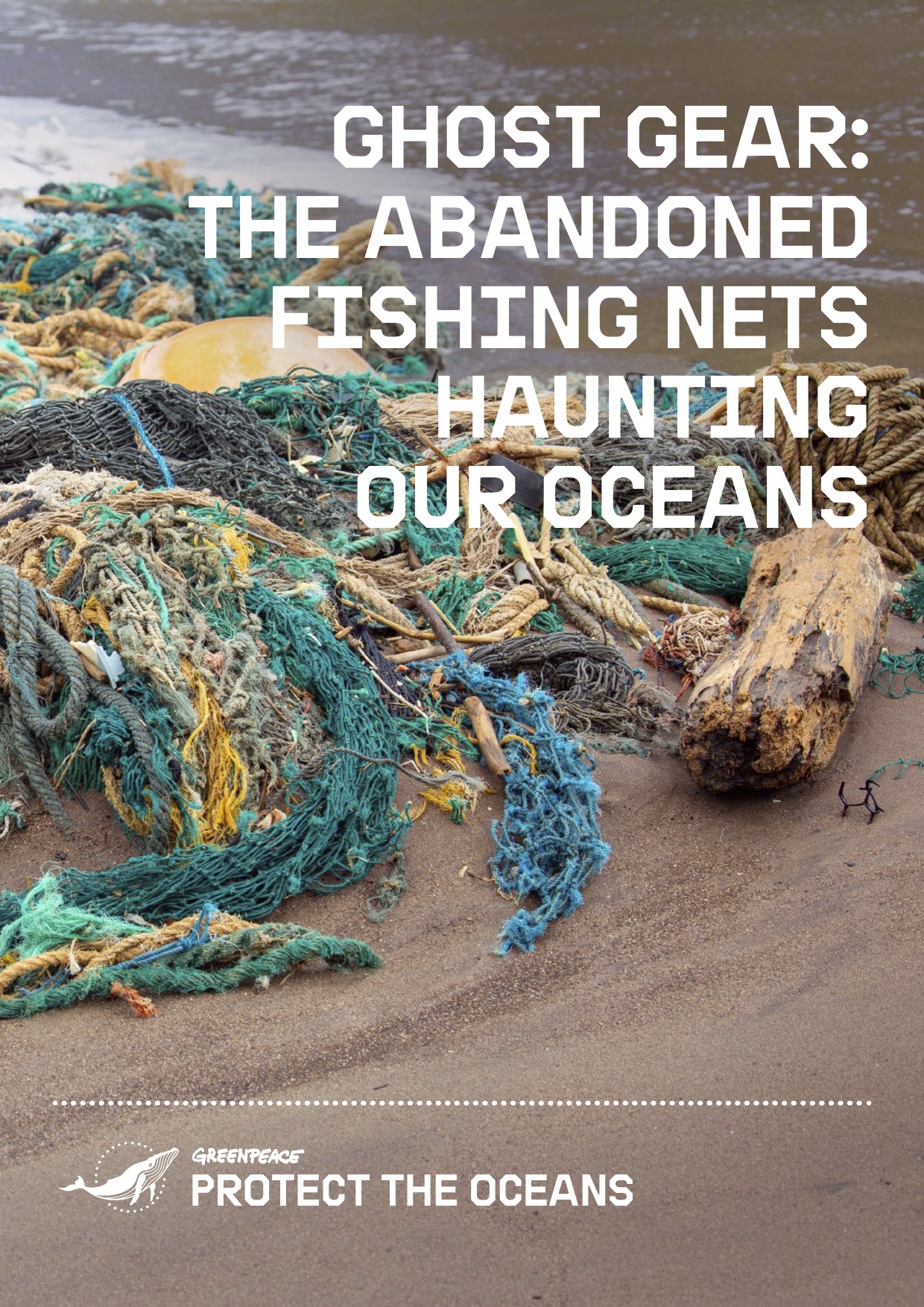 Ghost Gear: The Abandoned Fishing Nets Haunting Our Oceans