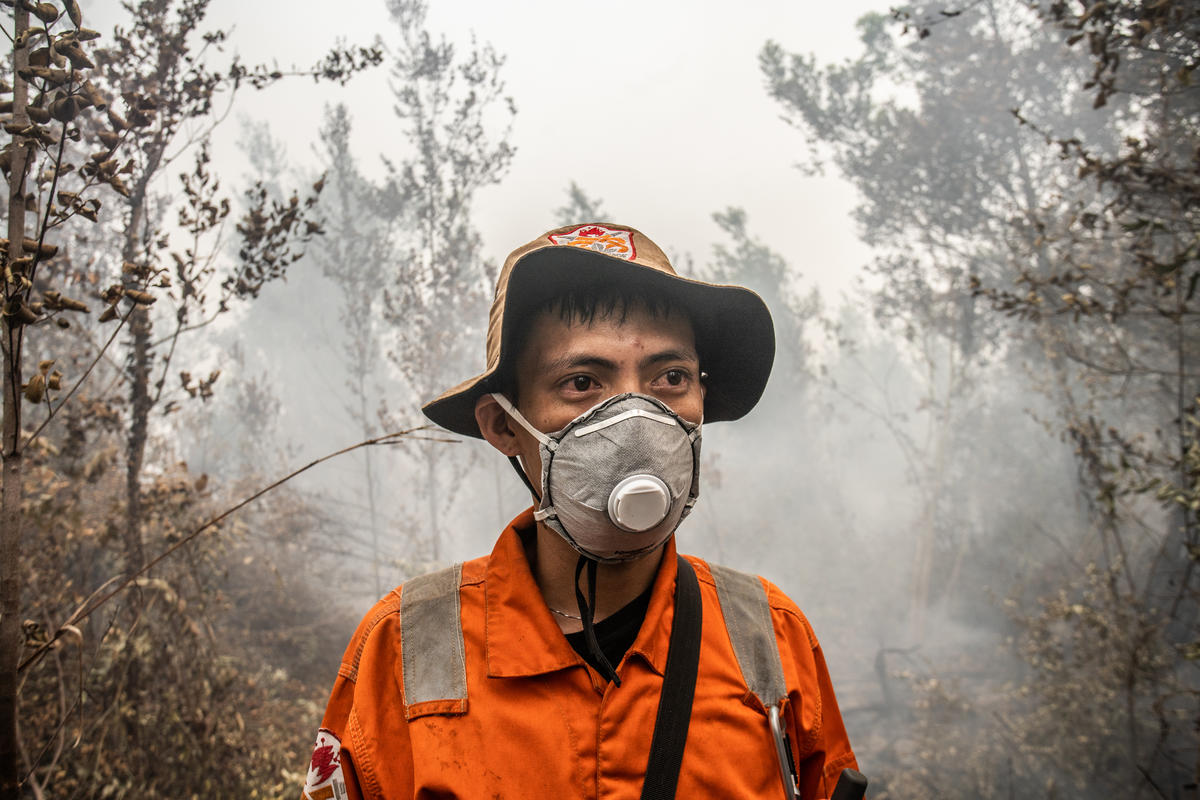 Forest Fires Investigation at PT GAL Concession in Central Kalimantan. © Jurnasyanto Sukarno / Greenpeace Forest Fires Investigation at PT GAL Concession in Central Kalimantan. © Jurnasyanto Sukarno / Greenpeace