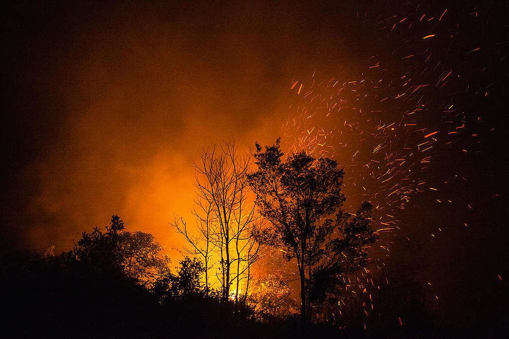 Forest Fires in Central Kalimantan. © Jurnasyanto Sukarno / Greenpeace Forest Fires in Central Kalimantan. © Jurnasyanto Sukarno / Greenpeace