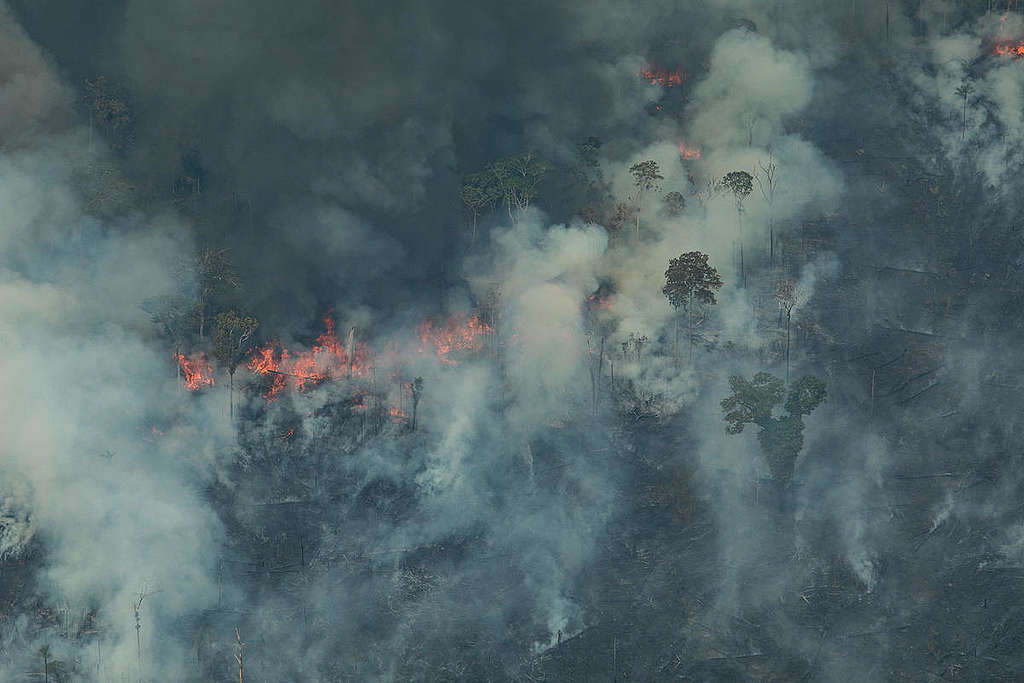 Aerial view of a large burned area in the city of Candeiras do Jamari in the state of Rondônia. © Victor Moriyama / Greenpeace