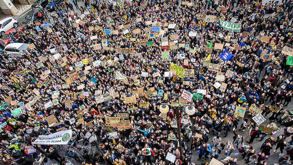 Global Student Strike in Prague. © Petr Zewlakk Vrabec / Greenpeace Global Student Strike in Prague. © Petr Zewlakk Vrabec / Greenpeace