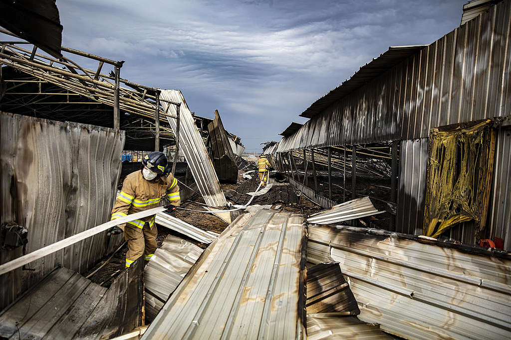 Massive Wildfire on Gangwon-do in South Korea. © Soojung Do / Greenpeace