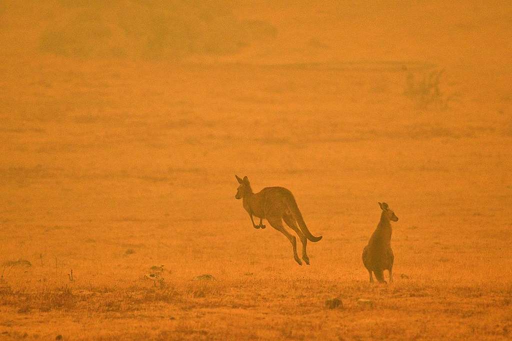 © SAEED KHAN/AFP via Getty Images