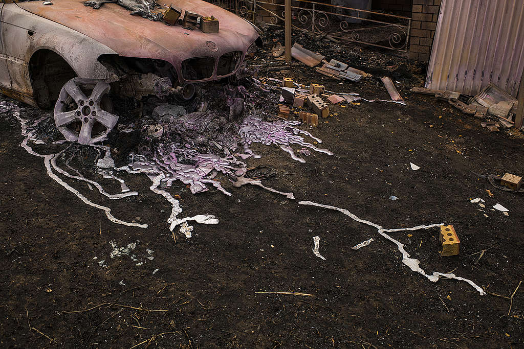 © Andrew Quilty / Greenpeace