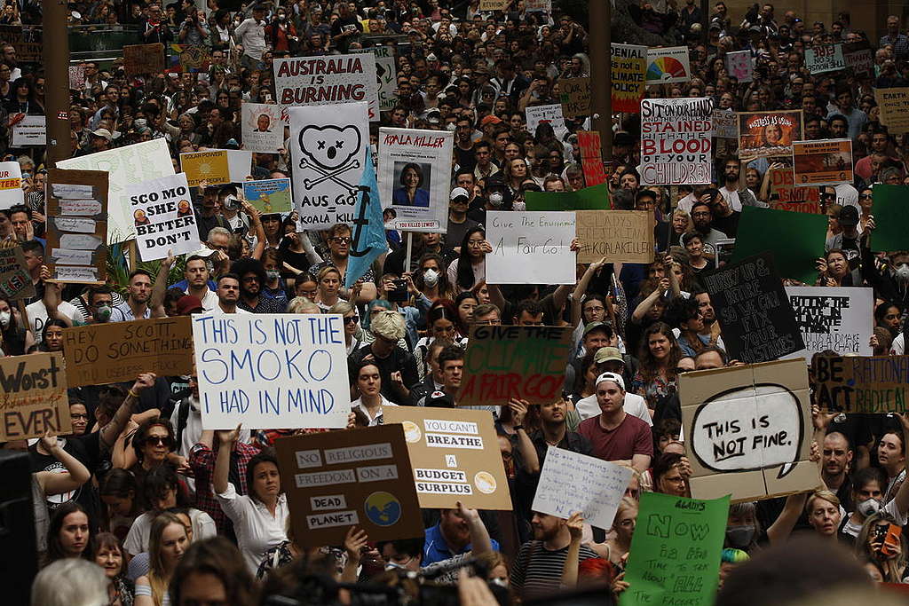 Climate emergency rally at Sydney Town Hall, NSW. © Dean Sewell / Greenpeace © Dean Sewell / Greenpeace