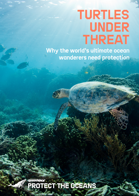 Turtles Under Threat Cover