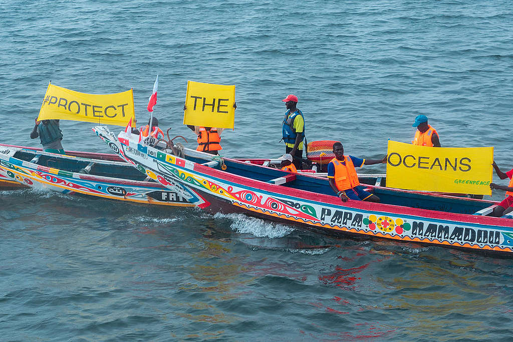Local Fishermen Activity in Dakar. © Pape Diatta Sarr / Greenpeace Local Fishermen Activity in Dakar. © Pape Diatta Sarr / Greenpeace