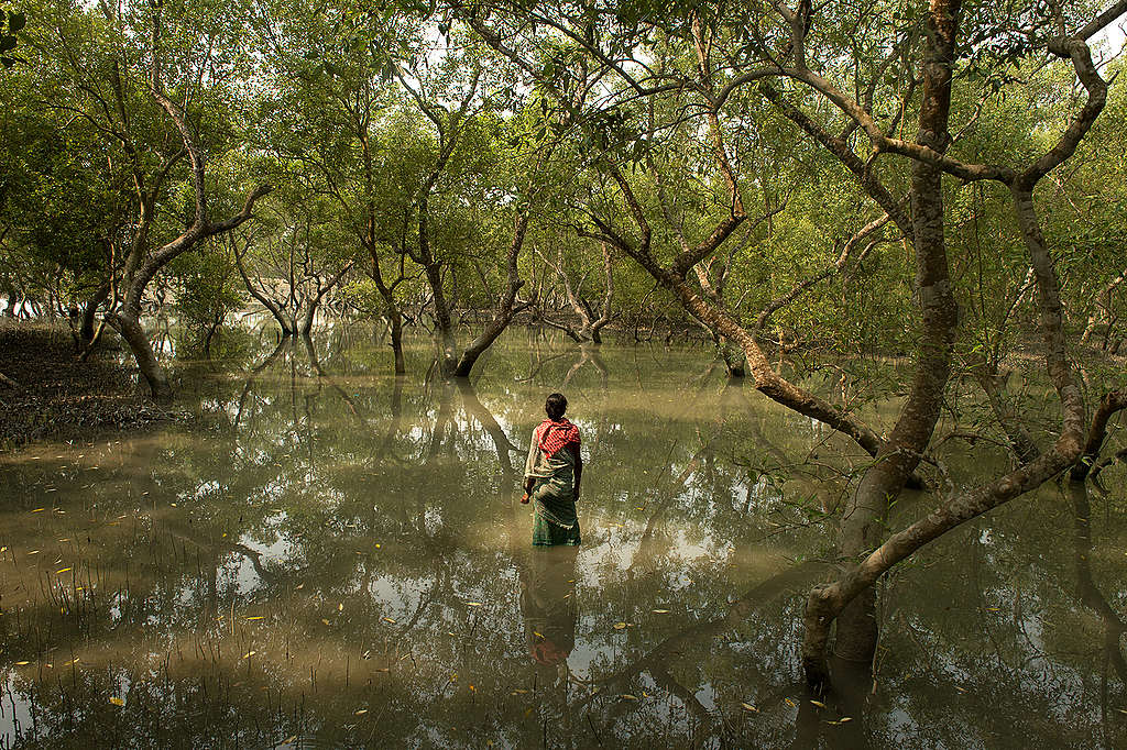 Kabita Mandal waits for a crab to bite her line as the tide begins to rise around her. She lives in the largest mangrove forest in the world, the Sundarbans, which straddles the border between India and Bangladesh. Having lost her husband six years ago when a tiger snatched him while he was fishing, she now catches crabs to make ends meet. Bearing the responsibility of raising two sons, her income from the crabs does not begin to cover costs. Kabita is one of several thousand such women who are left bereft and severely marginalized when their husbands are taken by tigers in the Sundarbans.. Arati Kumar-Rao
