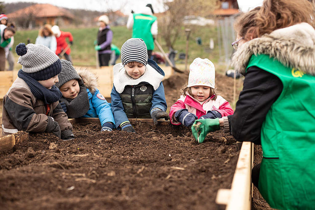 Volunteers Build Raised Beds in a Community Garden in Hungary. © Zsuzsi Dorgo / Greenpeace Volunteers Build Raised Beds in a Community Garden in Hungary.
© Zsuzsi Dorgo / Greenpeace