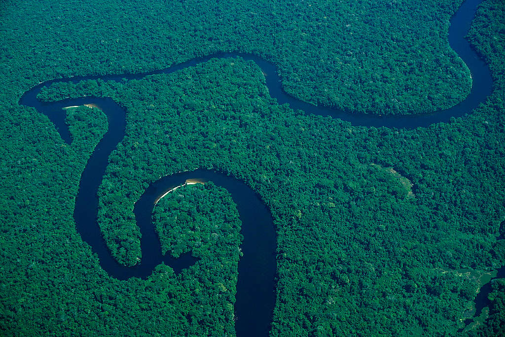 Aerial View over Amazon Rainforest  © Rogério Assis / Greenpeace