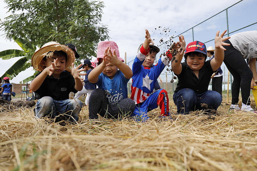 'We Grow' Project Preparation in Thailand. © Roengchai Kongmuang / Greenpeace 'We Grow' Project Preparation in Thailand. © Roengchai Kongmuang / Greenpeace