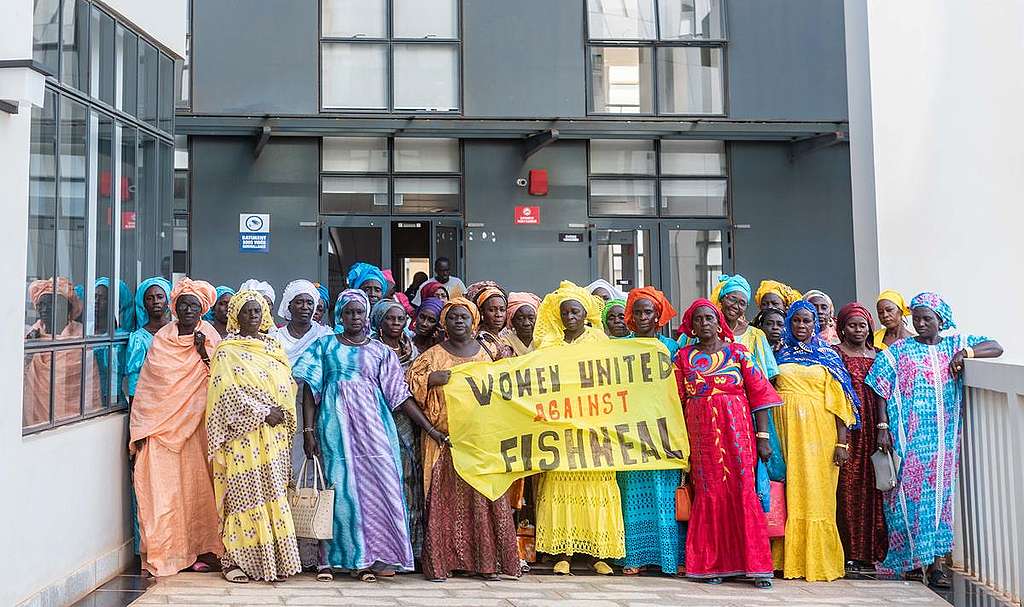 Fish Processor Women at Fisheries Minister in Dakar. © Pape Diatta Sarr / Greenpeace Fish Processor Women at Fisheries Minister in Dakar. © Pape Diatta Sarr / Greenpeace