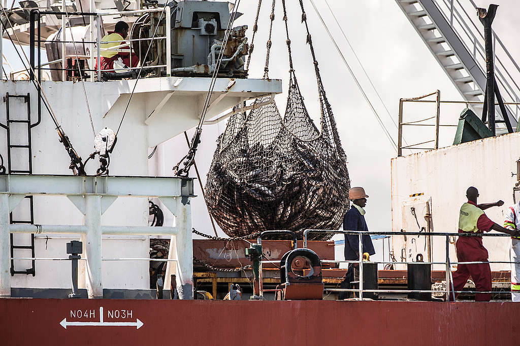 Tuna Transshipment in Madagascar. © Pierre  Baelen / Greenpeace