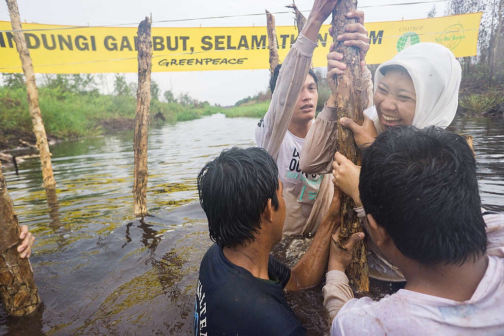 Damming Activity in Central Kalimantan © Ardiles Rante / Greenpeace