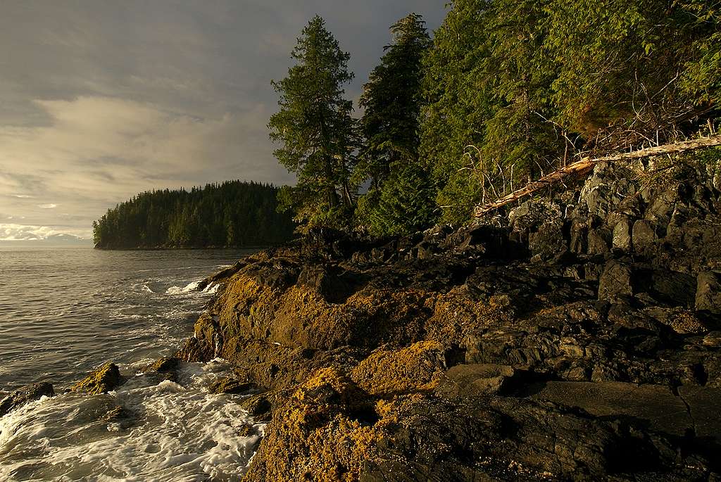 Great Bear Rainforest in B.C. © Markus Mauthe / Greenpeace Great Bear Rainforest in B.C. © Markus Mauthe / Greenpeace