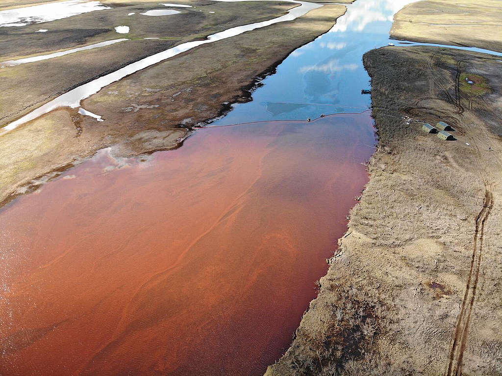 Spilled fuel products near Norilsk, flowing toward the Pyasina river. © Anonymous / Greenpeace© Anonymous / Greenpeace Spilled fuel products near Norilsk, flowing toward the Pyasina river. © Anonymous / Greenpeace© Anonymous / Greenpeace