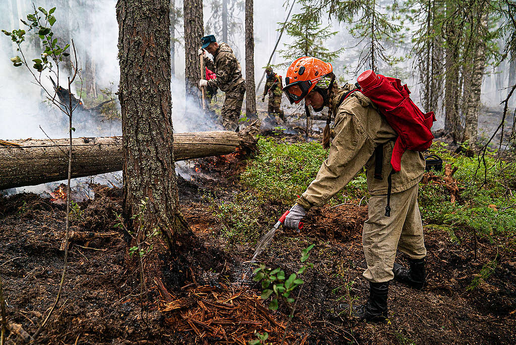 Greenpeace Russia volunteers help fight fires in the Denezhkin Kamen reserve near the Ural mountains. © Greenpeace
© Yulia Petrenko / Greenpeace