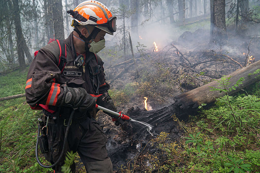 Climate Emergency: Forest Fires in Siberia Greenpeace Russia volunteers help fight fires in the Denezhkin Kamen reserve near the Ural mountains.
© Yulia Petrenko / Greenpeace
