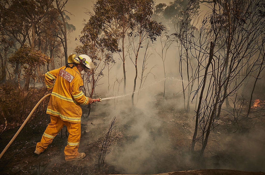 Australia's Bushfires Continue to Burn. © Kiran Ridley / Greenpeace