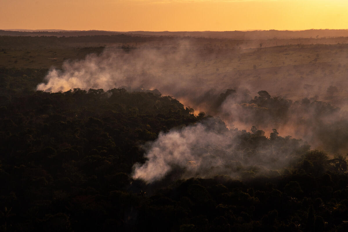 Fires Are Raging In The Amazon Again Greenpeace International