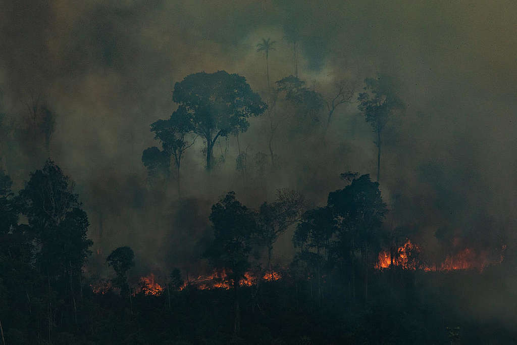 Forest Fires in Candeiras do Jamari, Amazon - Second Overflight (2019). © Victor Moriyama / Greenpeace