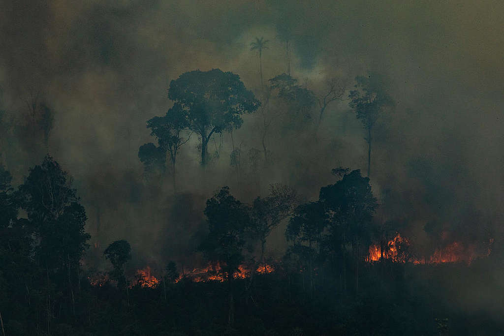 Forest Fires in Candeiras do Jamari, Amazon - Second Overflight (2019). © Victor Moriyama / Greenpeace Forest Fires in Candeiras do Jamari, Amazon - Second Overflight (2019). © Victor Moriyama / Greenpeace