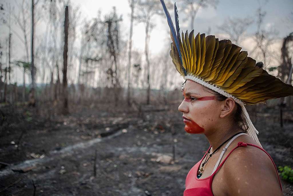 Member of the Huni Kuin Tribe in Brazil. © David Tesinsky / Greenpeace