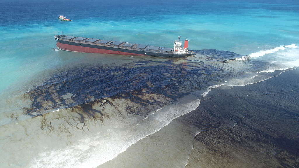 Mauritius one year after oil disaster - Greenpeace International
