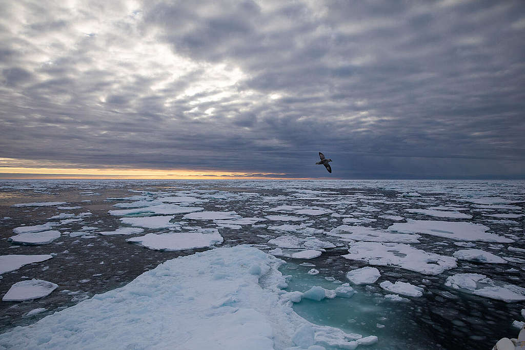 Icescape in the Arctic. © Daniella Zalcman / Greenpeace