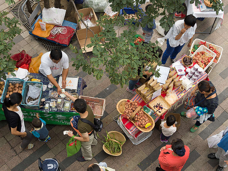 Waste not, want not Addressing food waste for a just and ecological