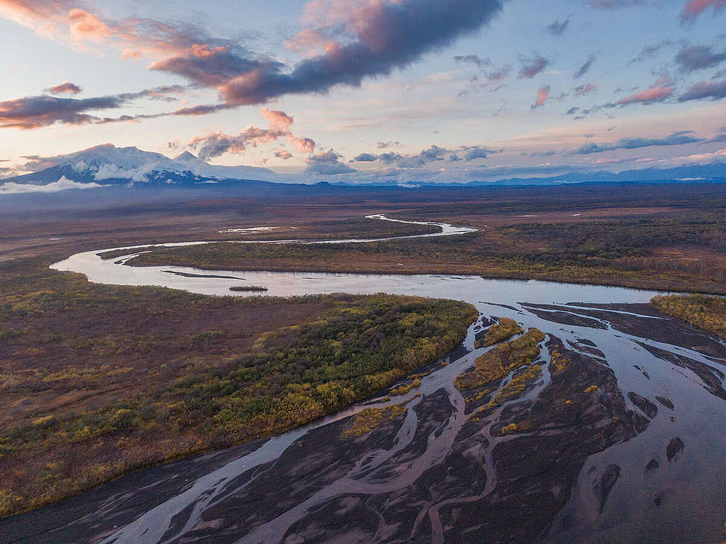 Ecological Disaster in the Kamchatka Peninsula, Russia. © Matvey Paramoshin / Greenpeace