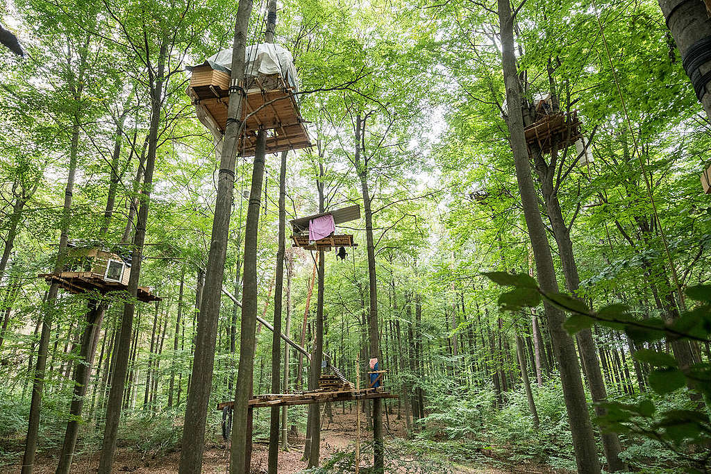 Demonstration at Dannenroeder Forest. © Bernd Lauter / Greenpeace Demonstration at Dannenroeder Forest. © Bernd Lauter / Greenpeace