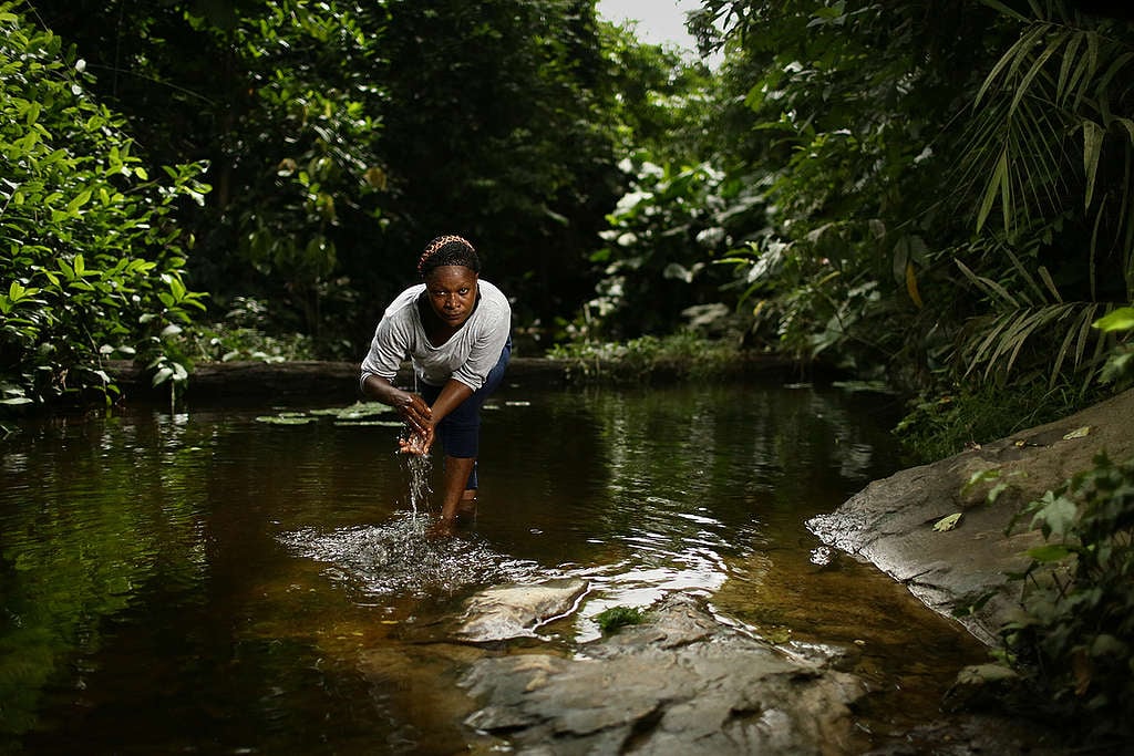 Bagyeli Community Leader in Cameroon. © Micha Patault / Greenpeace