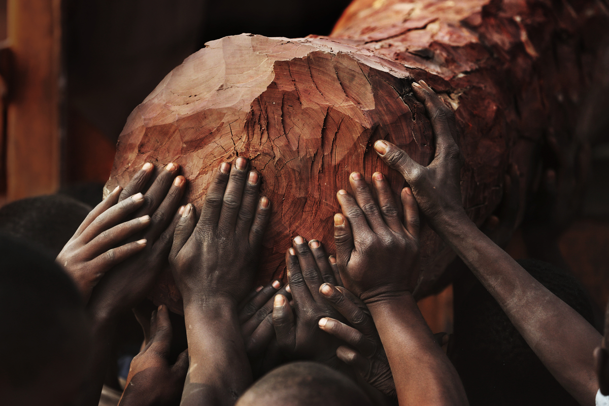 GP0STQRO7 Illegally Logged Hardwood in DRC