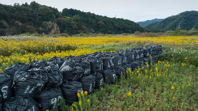 Bags with nuclear waste in Obori, Namie-town inside the highly contaminated exclusion zone in Namie, Fukushima prefecture, Japan. 