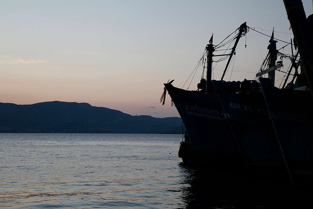 Tuna Gilnetter in Thailand. © Biel Calderon / Greenpeace