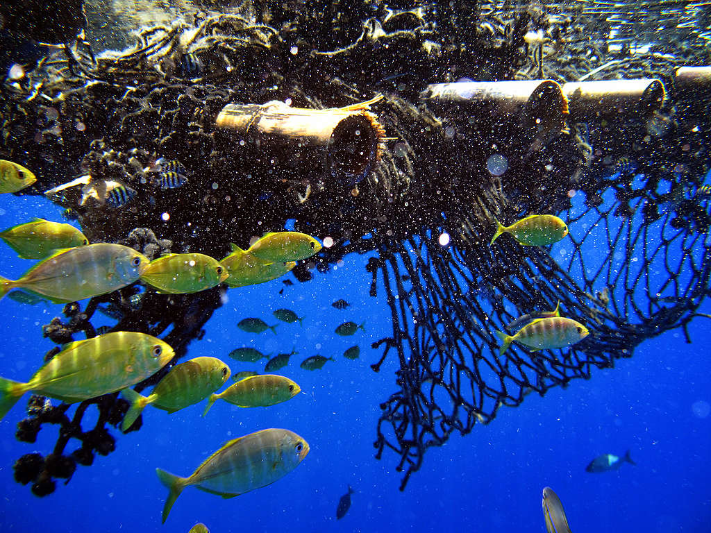 FAD in the Indian Ocean. © Jiri Rezac / Greenpeace FAD in the Indian Ocean. © Jiri Rezac / Greenpeace