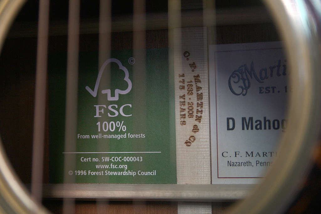 FSC Certified Guitars. © Greenpeace / Robert Meyers FSC Certified Guitars. © Greenpeace / Robert Meyers