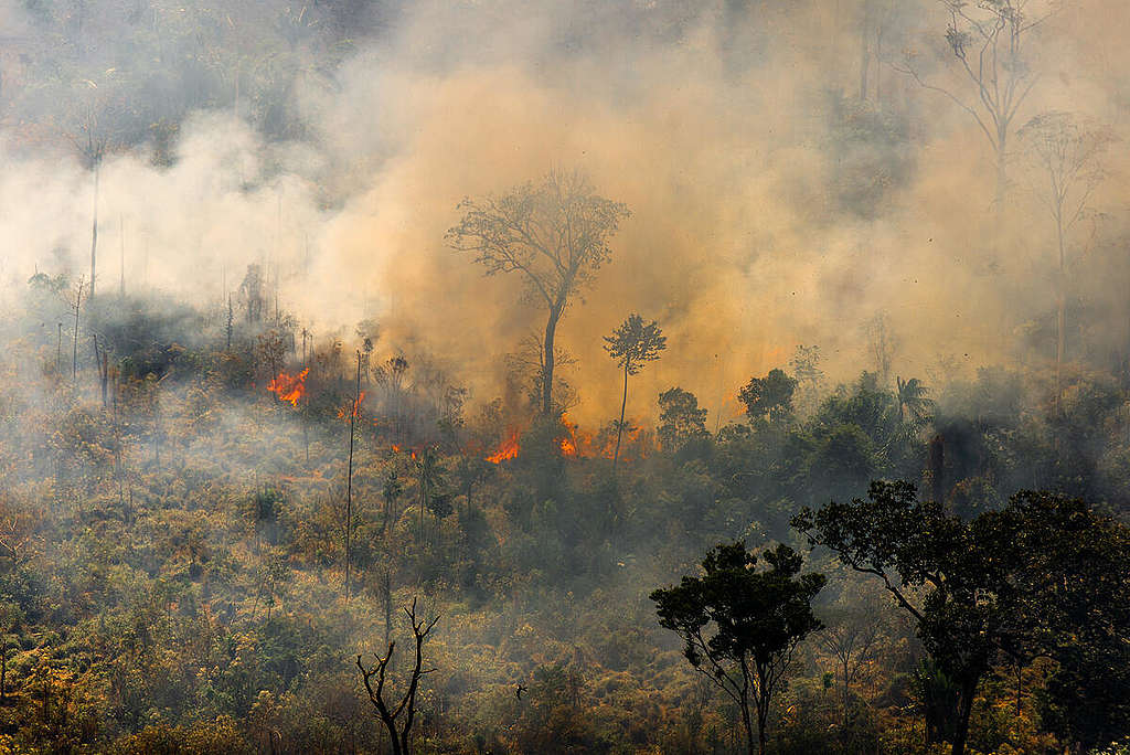 Deforestation and Fire Monitoring in the Amazon. © Christian Braga / Greenpeace