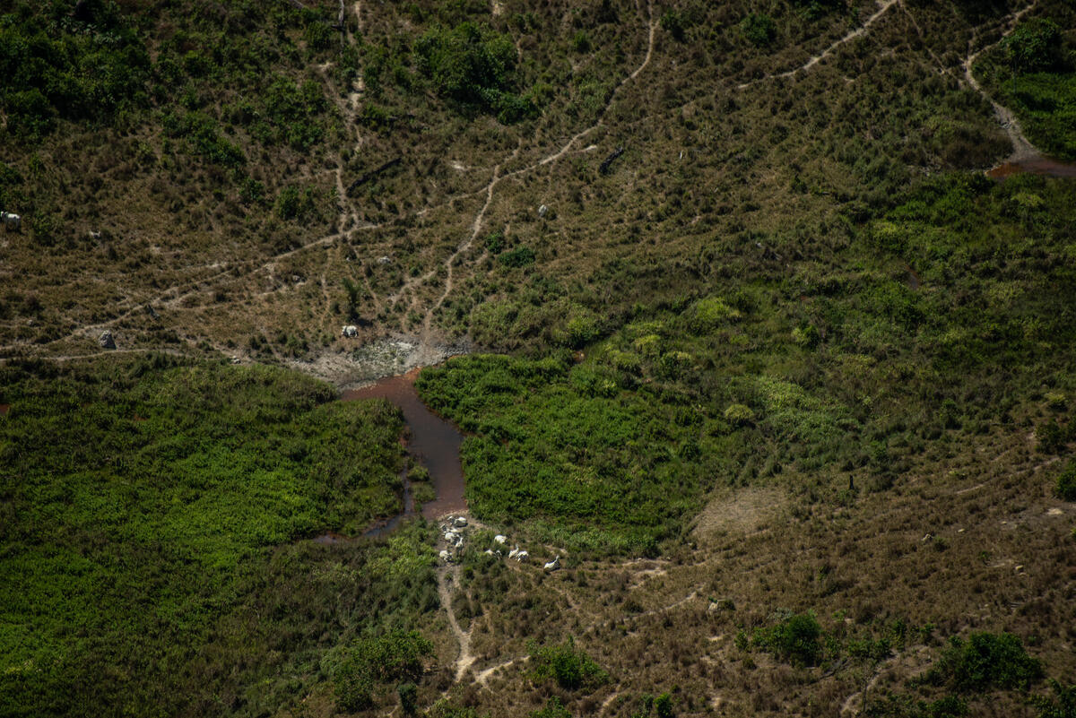Deforestation of 1,700 Hectares in the Jamanxim APA in the Amazon in Brazil. © Christian Braga / Greenpeace