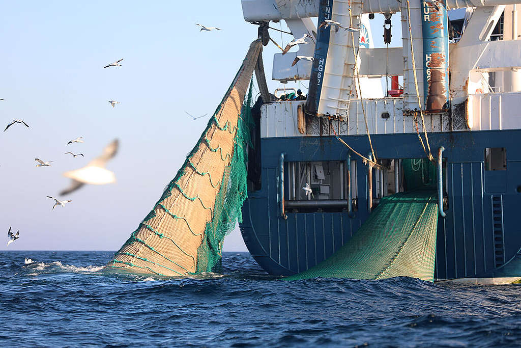 Beinur Trawler in the Dogger Bank. © Greenpeace Beinur Trawler in the Dogger Bank. © Greenpeace