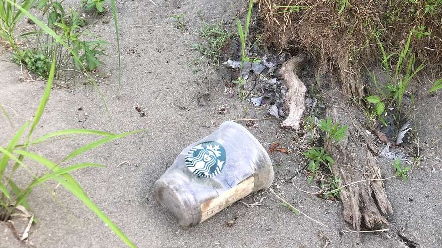 Plastic Pollution Brand Audits in Canada. © Greenpeace Plastic Pollution Brand Audits in Canada. © Greenpeace