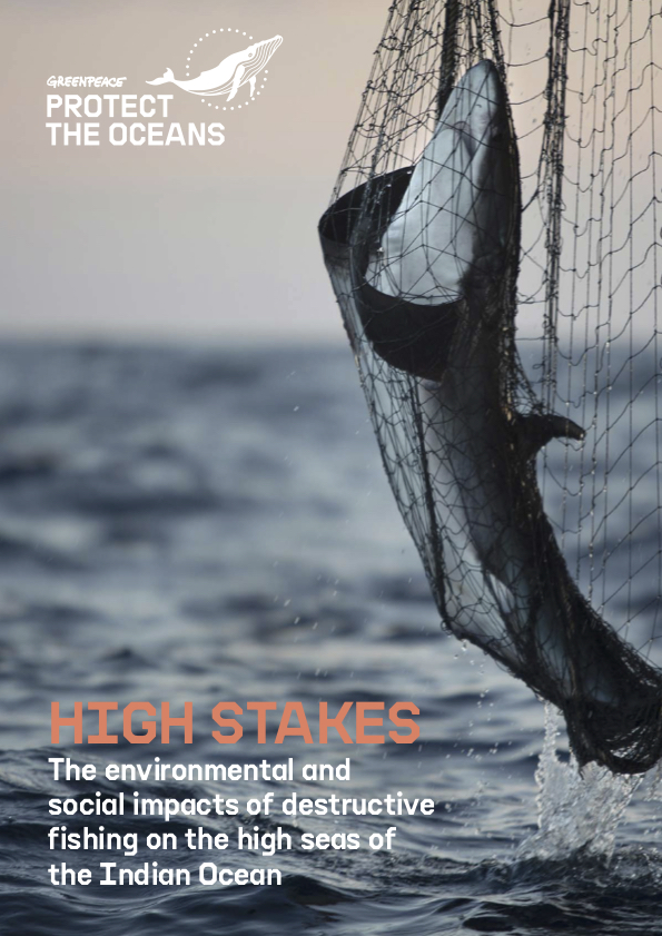 Cover of High Stakes Report