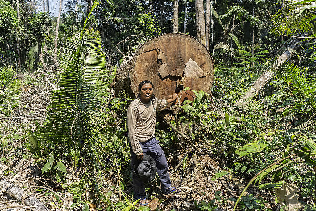 André Karipuna in Karipuna Indigenous Land, Brazil. © Rogério Assis / Greenpeace