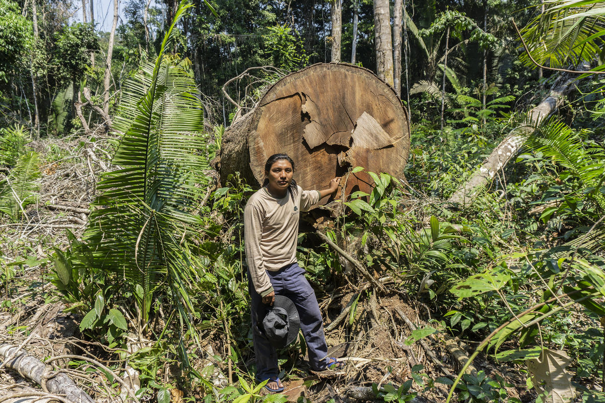 André Karipuna in Karipuna Indigenous Land, Brazil. © Rogério Assis / Greenpeace
