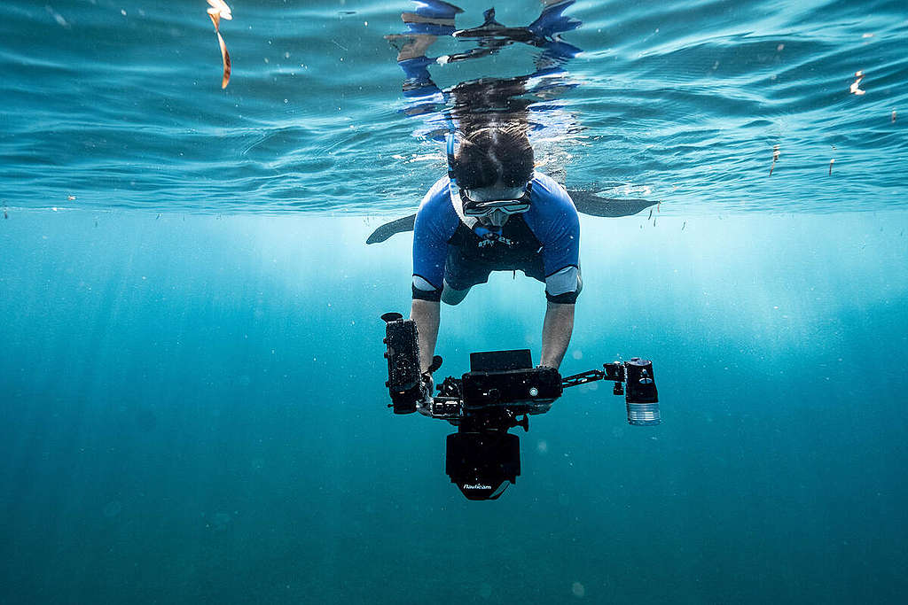 Diving at Saya De Malha Bank in the Indian Ocean. © Tommy Trenchard / Greenpeace