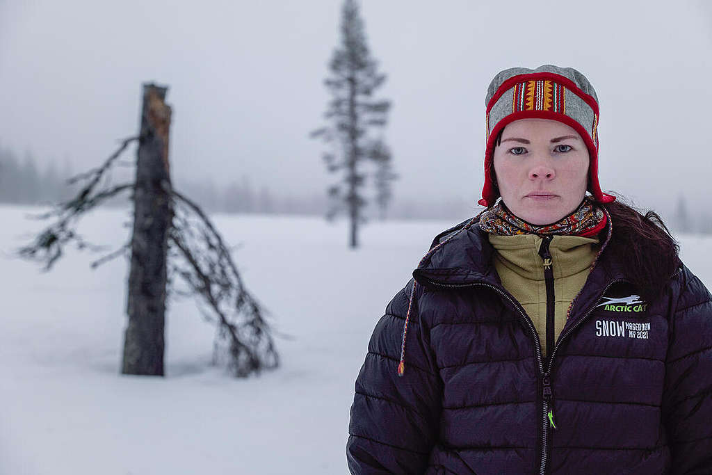 Forest and reindeer documentation in Muonio. © Rasmus Törnqvist / Greenpeace