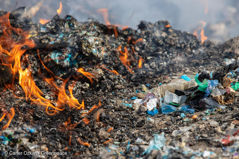 Dedepinari, Adana Province, Turkey. © Caner Ozkan / Greenpeace